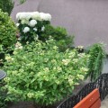 Zdjęcie nr 35 do aktualności