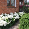 Zdjęcie nr 71 do aktualności
