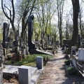 Zdjęcie nr 81 do aktualności