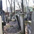 Zdjęcie nr 93 do aktualności