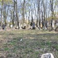 Zdjęcie nr 104 do aktualności
