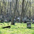Zdjęcie nr 132 do aktualności