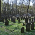 Zdjęcie nr 130 do aktualności