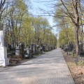 Zdjęcie nr 137 do aktualności
