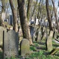 Zdjęcie nr 142 do aktualności