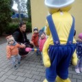 Zdjęcie nr 29 do aktualności